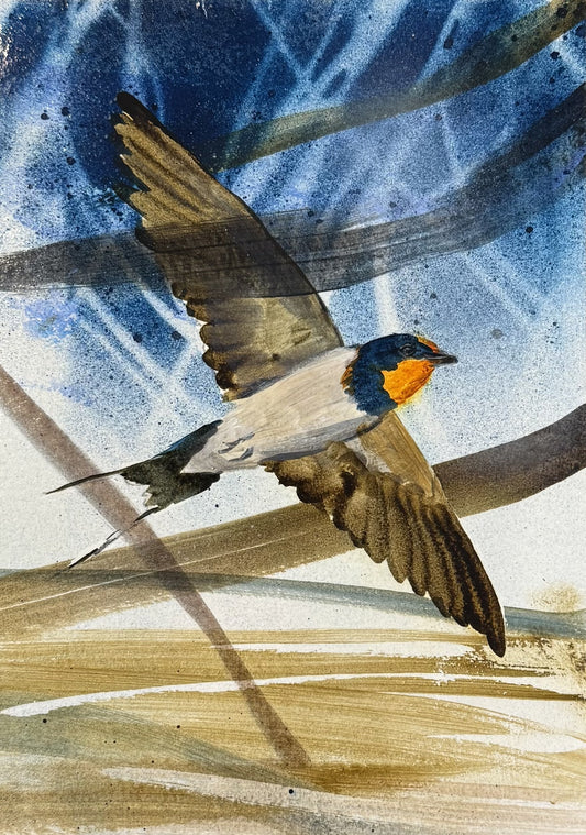 Swallow in Flight #1