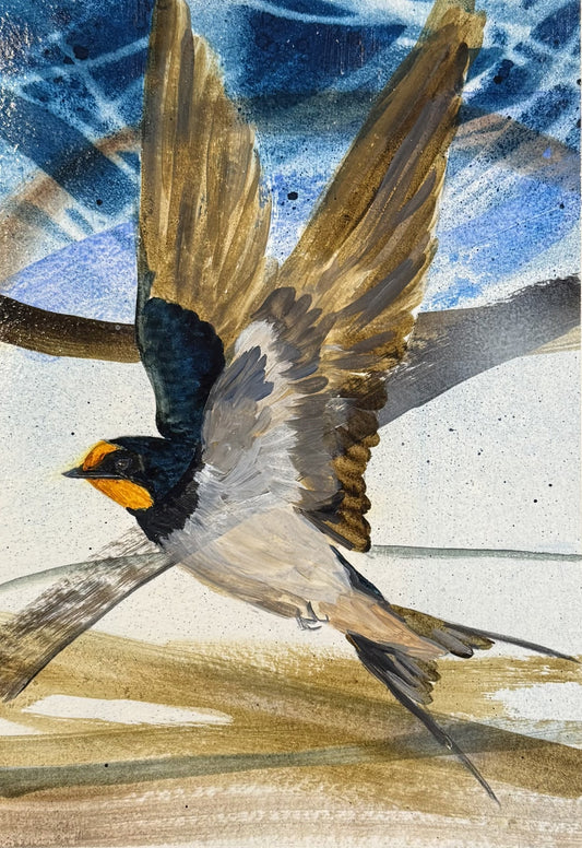 Swallow in Flight #2