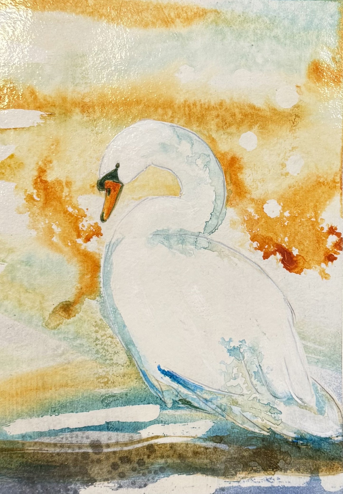 Swan Resting