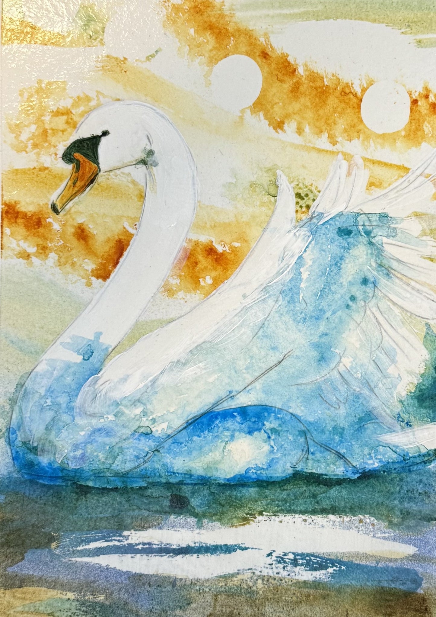 Swan on Lake