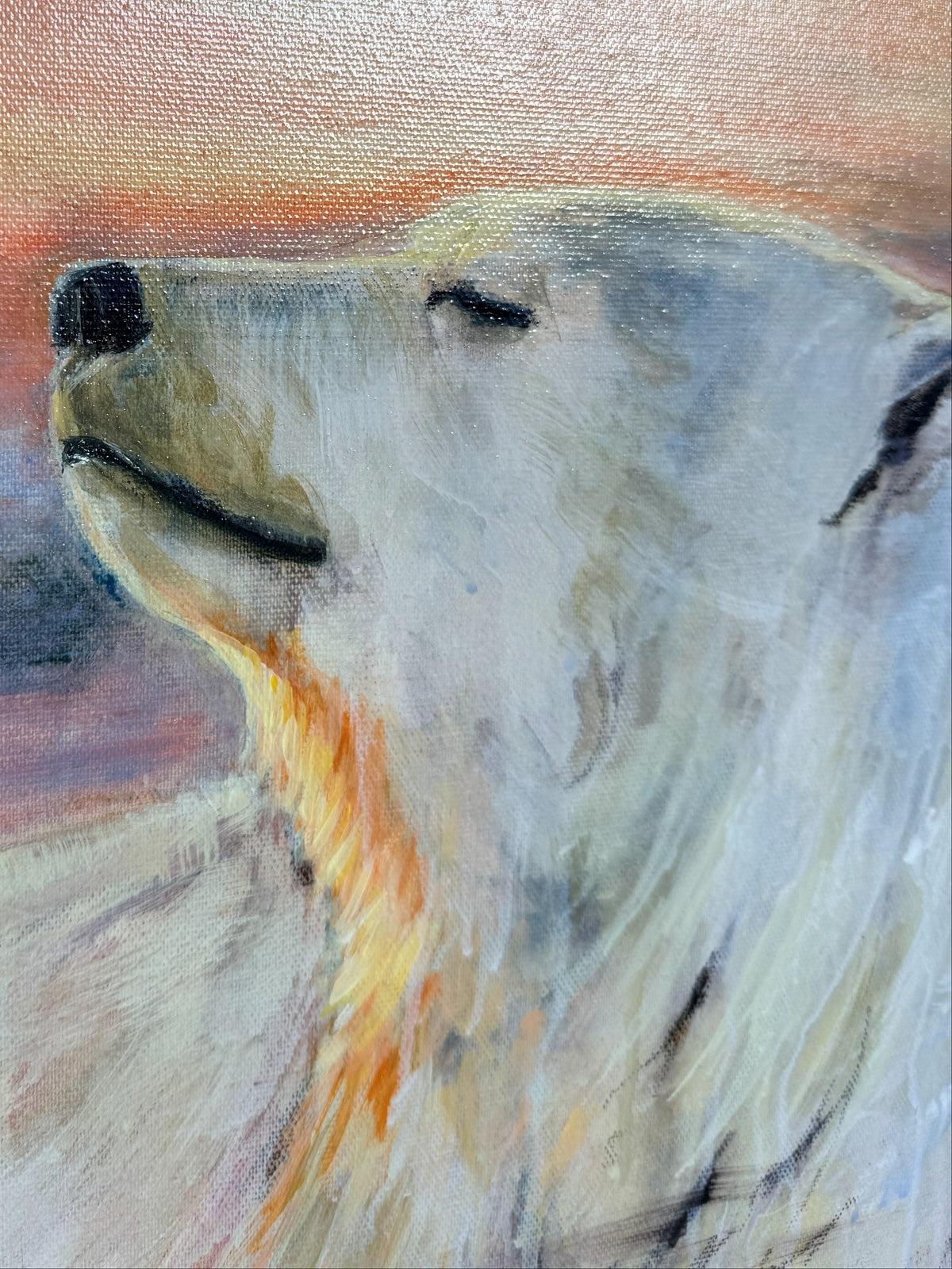 Close-up of the polar bear's face lifted toward the pink sky in What Has Passed